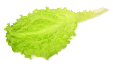 Lettuce leaves isolated on white background