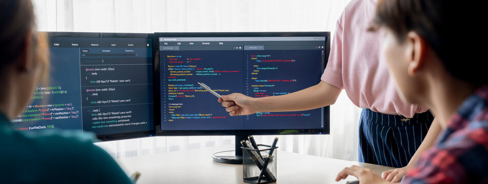 Closeup skilled young female programer present program coding and sharing programing idea while manager listening carefully.at modern office company. Java script, web design concept. Burgeoning.