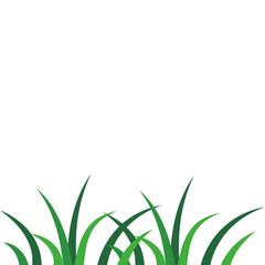 Fototapeta premium Realistic Vector Grass