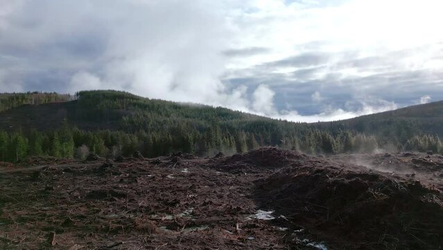 Pan over clearcut field with slash debris on the ground and fog in the background