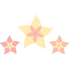 Fototapeta premium Flower Abstract Decoration