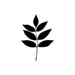 The leaf silhouette is isolated on a white background. Vector illustration drawn by hand.