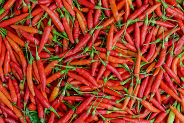 top view of cabai or bird's eye chili