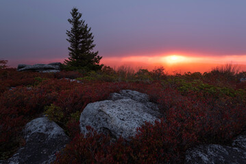 Red light filters through the rain and sleet during an Autumn sunrise at Dolly Sods in West Virginia. - Powered by Adobe