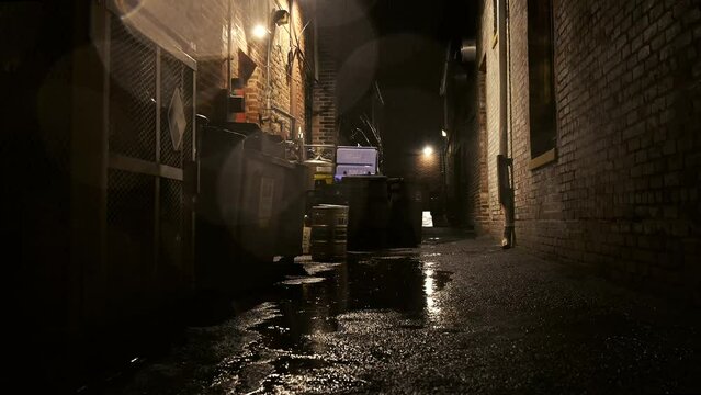 Old Town Alexandria 4K Series Alley Rain