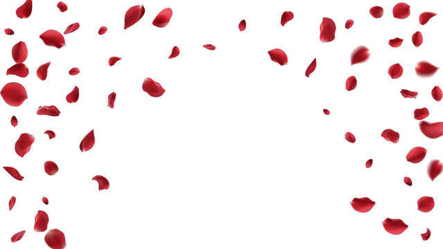 Valentine's day Vector red symbols of love border for romantic banner or Red rose petals will fall on abstract floral background with gorgeous rose greeting card design. on transparent background