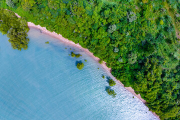 Top view mangrove forest trees with beautiful sea surface and small waves,Ecosystem and healthy environment concept and nature background.