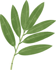 笹の葉のベクターイラスト