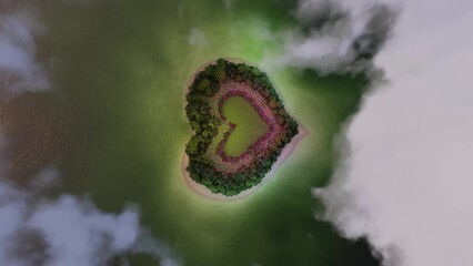 An overhead view through passing clouds of a tropical island paradise with palm trees and flowers for your wedding or Valentine's Day, 3D rendering. - Powered by Adobe