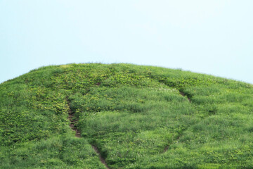 A lush, green, grass-covered hill under a clear sky, with a narrow dirt path leading up to the top.