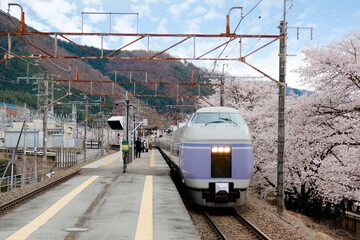 A fast train passing by the platform of a local station with sakura cherry blossoms lining up along the railway ~ Spring scenery of sakura and railroad at  Katsunuma Station in Yamanashi Japan