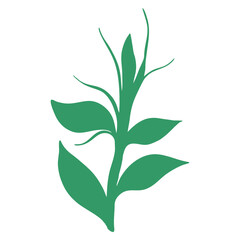 plants, leaves, leaf and flowers silhouette