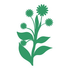 plants, leaves, leaf and flowers silhouette