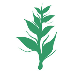 plants, leaves, leaf and flowers silhouette