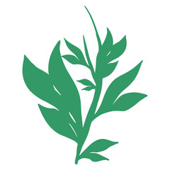 plants, leaves, leaf and flowers silhouette