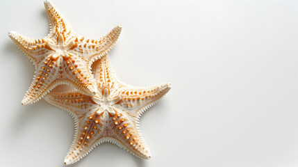 Fototapeta na wymiar starfish isolated on white, generative ai