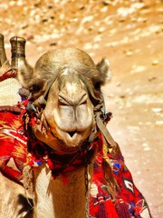 Petra, Jordan