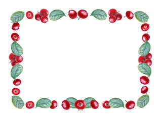Fototapeta na wymiar Horizontal frame of ripe red bearberries. Cowberry, lingonberry. Forest red berries with green leaves. Watercolor illustration isolated on white. Space for text. For postcard design, template