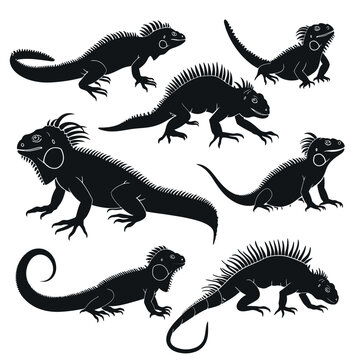 iguana silhouette vector set design