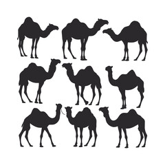 camel silhouette vector set design