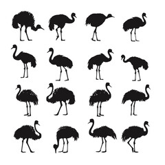 ostrich silhouette vector set design - obrazy, fototapety, plakaty