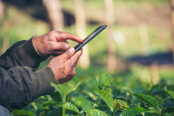 Smart farmer holding smartphone in eco green farm sustainable quality control. Close up Hand control planting tree. Farmer hands cultivated fresh garden in eco biotechnology. Farmland technology - obrazy, fototapety, plakaty