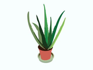 aloe Vera graph houseplant succulent plant potted leaf