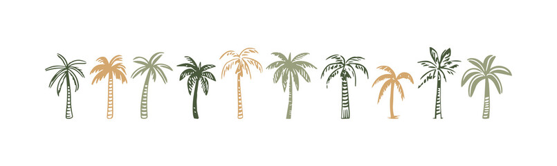 Hand drawn palm tree doodle element set. Colorful hawaiian clipart, isolated summer vacation collection in vintage art style. Tropical plant painting illustration bundle. © Dedraw Studio