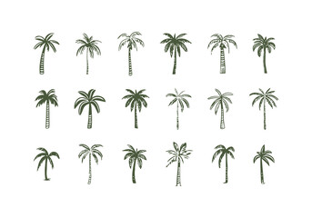 Hand drawn palm tree doodle element set. Colorful hawaiian clipart, isolated summer vacation collection in vintage art style. Tropical plant painting illustration bundle.