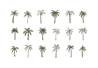 Foto op Canvas Hand drawn palm tree doodle element set. Colorful hawaiian clipart, isolated summer vacation collection in vintage art style. Tropical plant painting illustration bundle. © Dedraw Studio