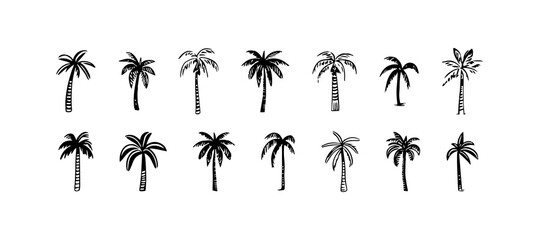 Hand drawn palm tree doodle element set. Black and white hawaiian clipart, isolated summer vacation collection in vintage art style. Tropical plant painting illustration bundle. - obrazy, fototapety, plakaty