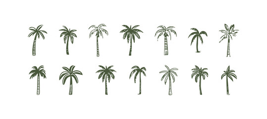 Hand drawn palm tree doodle element set. Colorful hawaiian clipart, isolated summer vacation collection in vintage art style. Tropical plant painting illustration bundle. © Dedraw Studio