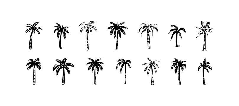 Hand drawn palm tree doodle element set. Black and white hawaiian clipart, isolated summer vacation collection in vintage art style. Tropical plant painting illustration bundle.