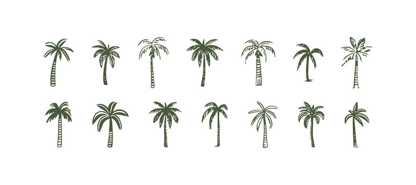 Hand drawn palm tree doodle element set. Colorful hawaiian clipart, isolated summer vacation collection in vintage art style. Tropical plant painting illustration bundle.