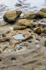 coastal sedimentary rocks