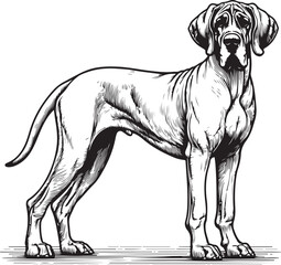 great dane full body stencil line art outline illustration black and white transparent background
