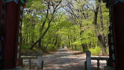 Scenery on the way to Seoknamsa Temple, a temple in Korea