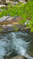 Spring scenery of Seoknamsa Valley, a temple in Korea