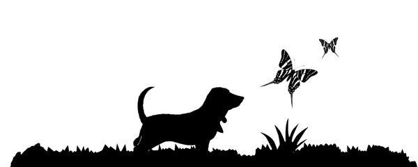silhouette dog and butterfly on the grass