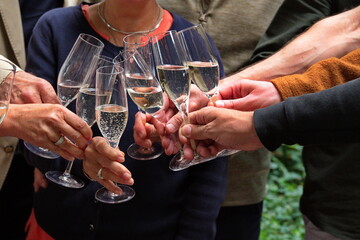 Group of people toasting with champagne