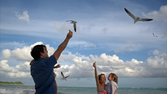 Slow motion of a family of latin hispanic persons feeding the seagulls on a sunny afternoon in the mayan riviera Mexico