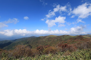 笠取山