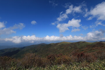 Fototapeta na wymiar 笠取山