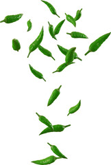 falling green chili