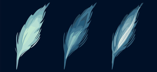 three blue feathers on a dark background. Feathers. The decor is made of fashionable blue feathers, dark background.
