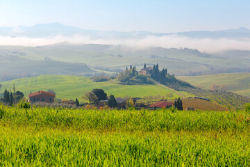 Fototapeta premium Idyllic landscape of Tuscan countryside, with farmhouses surrounded by cypress trees on green grassy rolling hills & Monte Amiata under blue clear sky in background on a sunny spring morning, in Italy