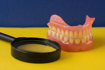 Dental repair. A dental model and a magnifying glass help the doctor examine the patient’s teeth in detail.