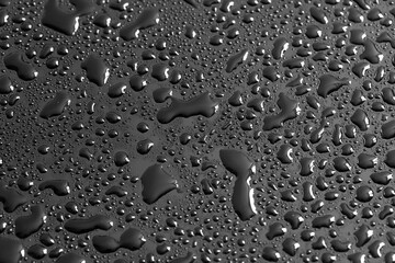 Water drops on a black background. Texture