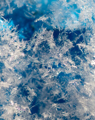 Close-up of snowflakes on a blue background. Macro