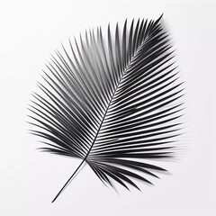 Stylish background for presentations. Palm leaf on a white surface with shadow. Illustration. Generative AI